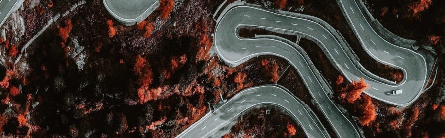 10,000 Curves